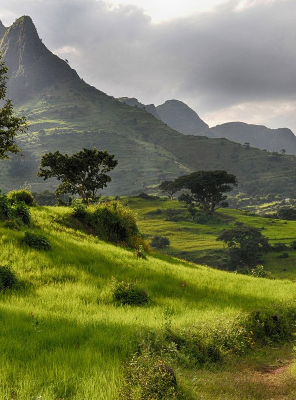 Simien
